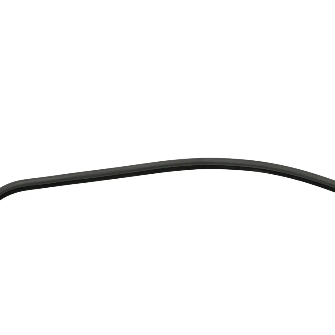 BMW E46 Guarnizione Porta Anteriore Gomma Destra - SKU 8194696 - Numero di parte 8194696