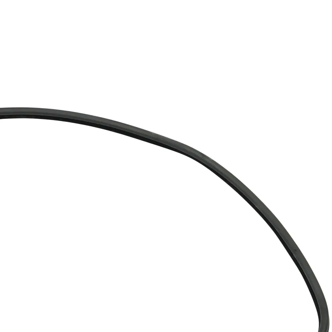 BMW E46 Guarnizione Porta Anteriore Gomma Destra - SKU 8194696 - Numero di parte 8194696