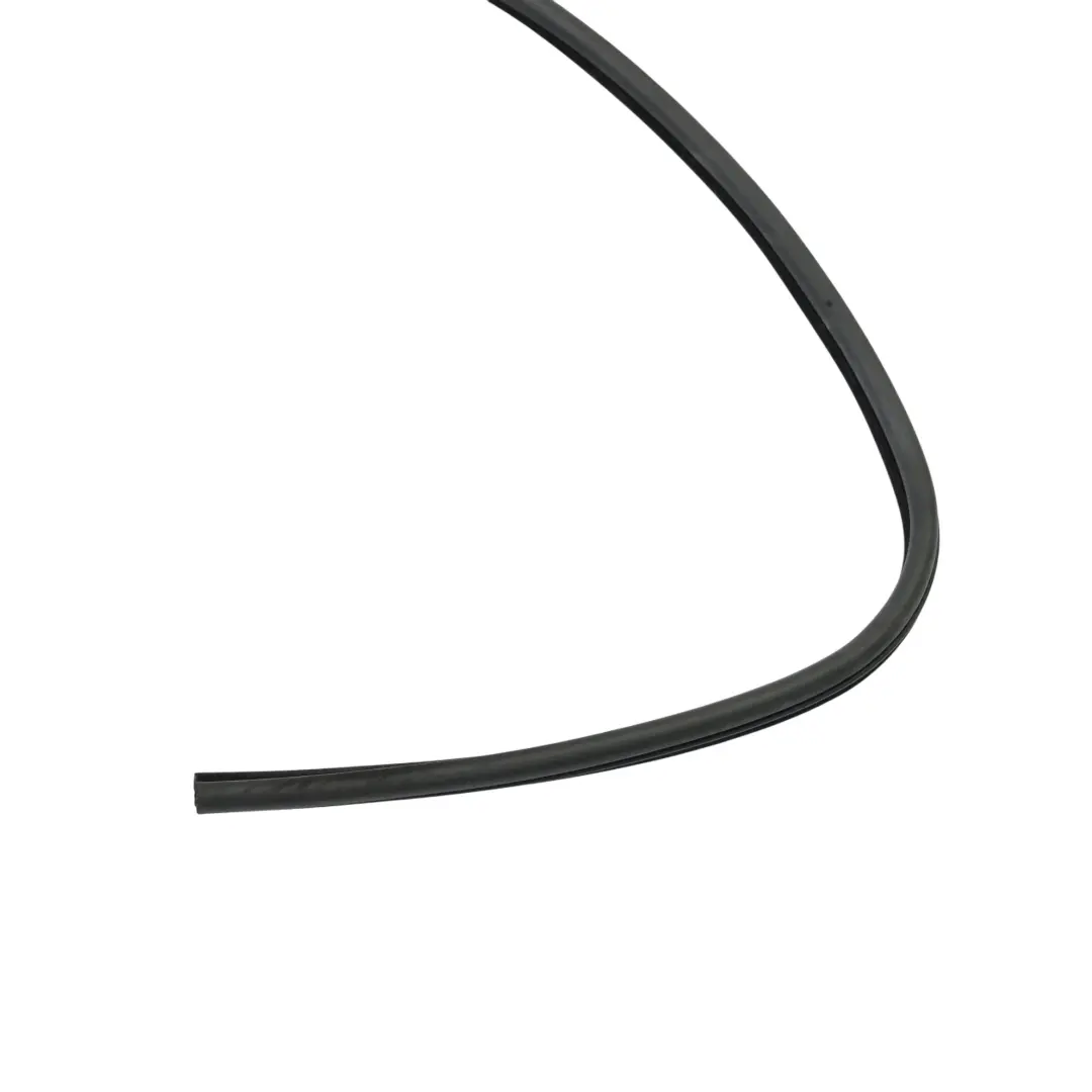 BMW E46 Guarnizione Porta Anteriore Gomma Destra - SKU 8194696 - Numero di parte 8194696