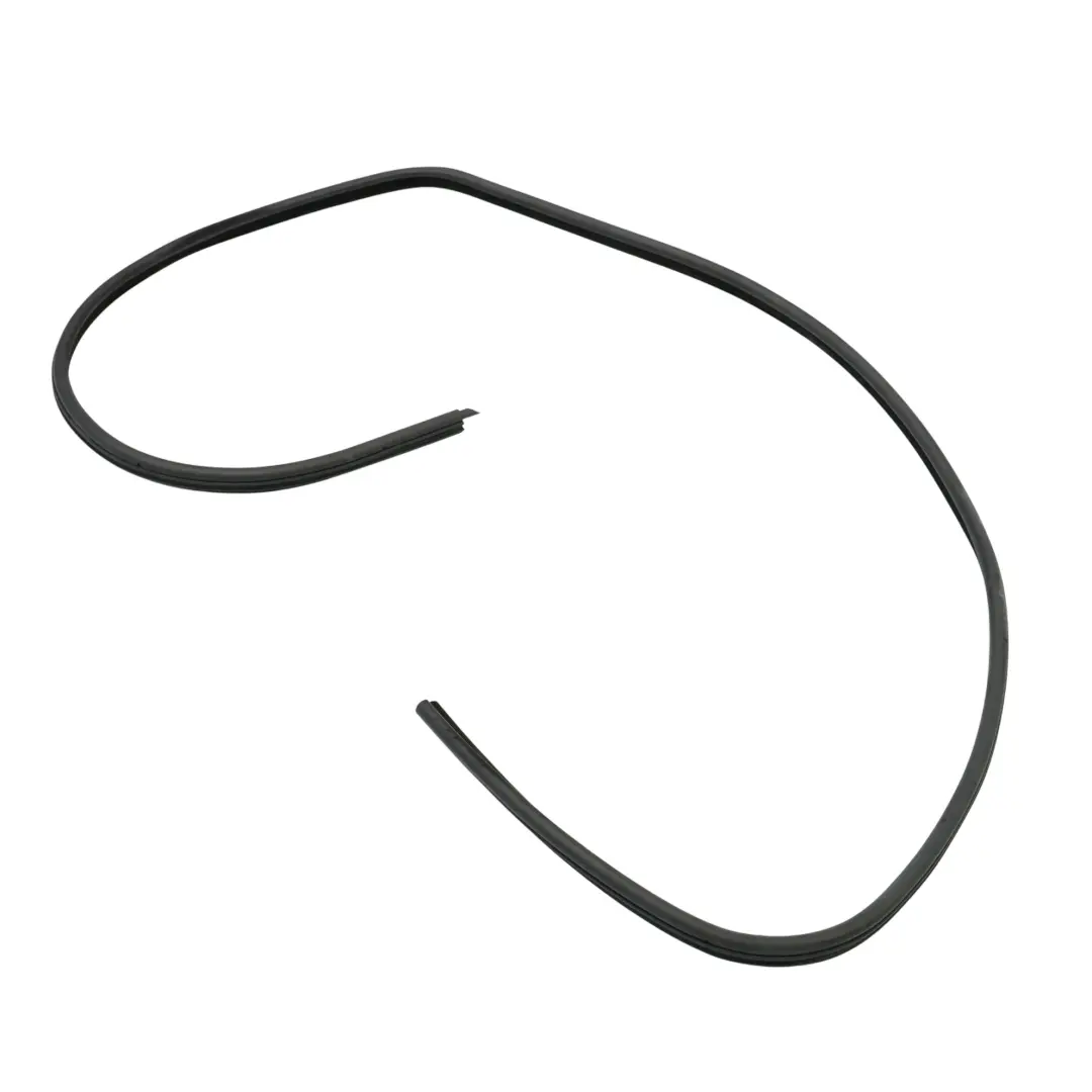 BMW E46 Front Door Seal Rubber Gasket Right O/S - SKU 8194696 - Part number 8194696