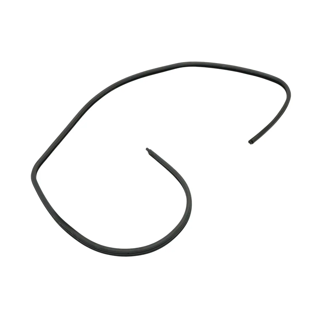 BMW E46 Front Door Seal Rubber Gasket Right O/S - SKU 8194696 - Part number 8194696