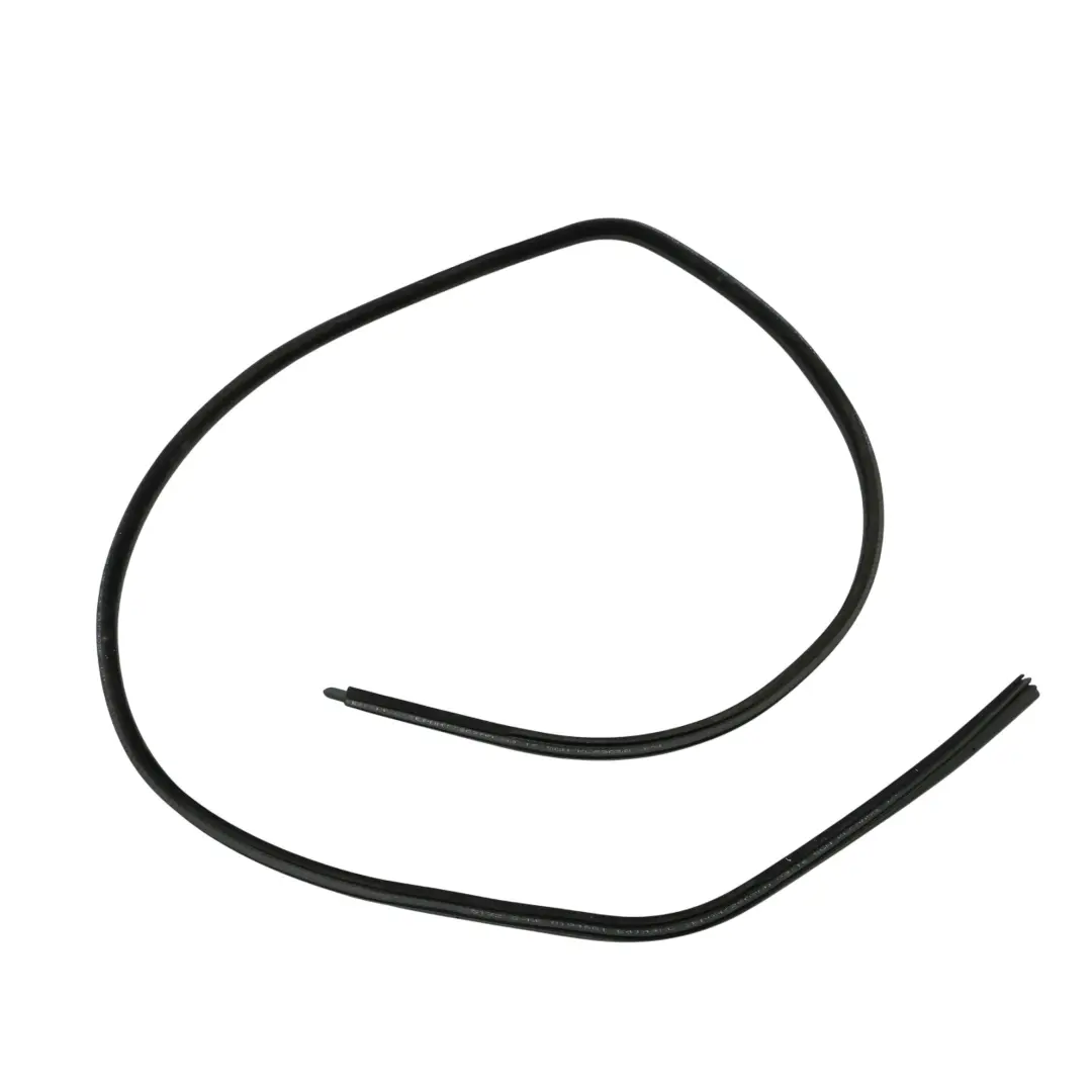 Guarnizione Porta Anteriore Gomma Destra per BMW E46 con numero di parte 8194696 BMW E46 Guarnizione Porta Anteriore Gomma Destra - SKU 8194696 - Numero di parte 8194696