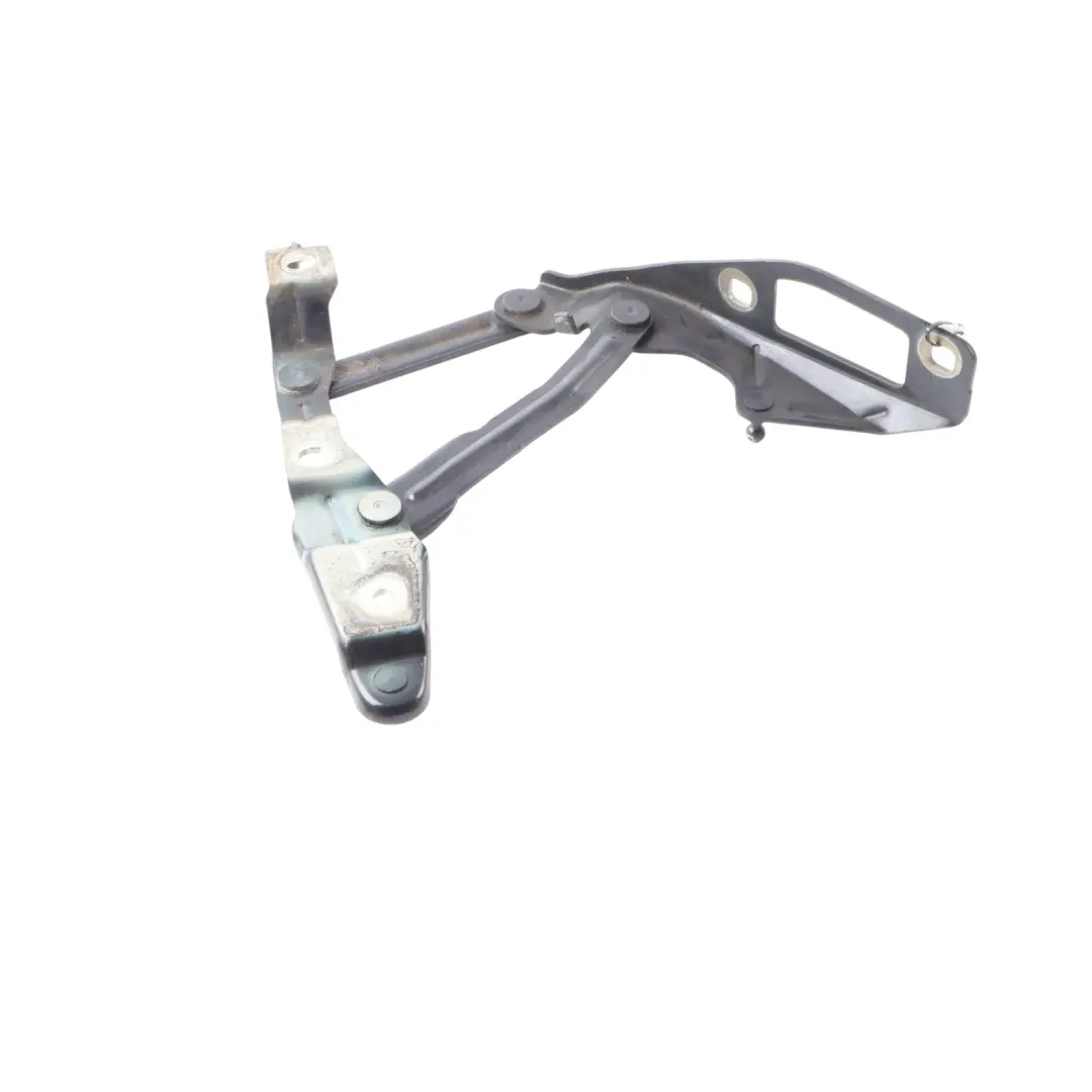 Audi TT 8N Cerniera Cofano Motore Sinistra Blu Moro Perla - Z5L - SKU 8N0823301-MOR - Numero di parte 8N0823301