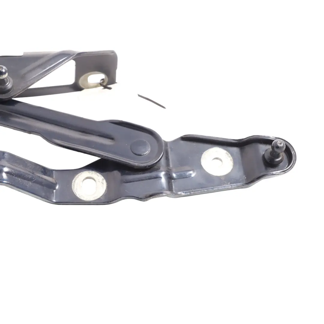Audi TT 8N Cerniera Del Cofano Destro Moro Blu Effetto Perla - Z5L - SKU 8N0823302-MOR - Numero di parte 8N0823302