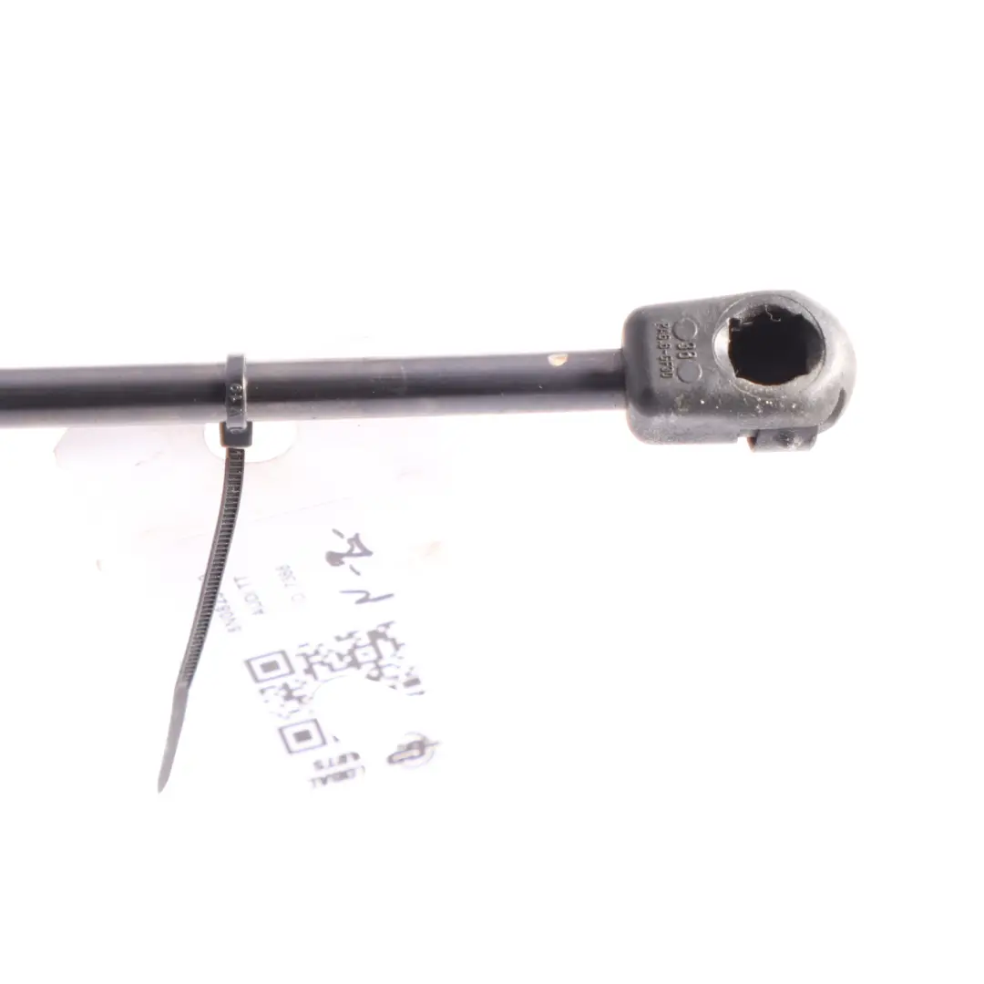 Audi TT 8N Cofano Cappuccio Gas Puntone Molla Sinistra Destra - SKU 8N0823359 - Numero di parte 8N0823359