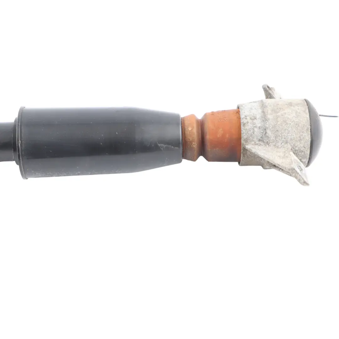 Shock Absorber Left Right N/O/S to Audi Q5 8R Rear with Part number 8R0513035AE Audi Q5 8R Rear Shock Absorber Left Right N/O/S - SKU 8R0513035AE - Part number 8R0513035AE