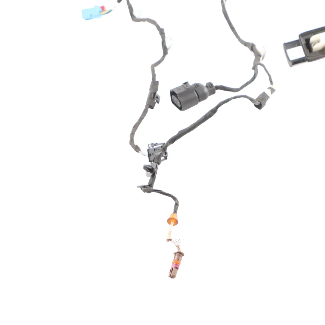 Audi A5 F5 Cableado De La Puerta Delantera Lado Del Conductor - SKU 8W6971029BF - Número de pieza 8W6971029BF