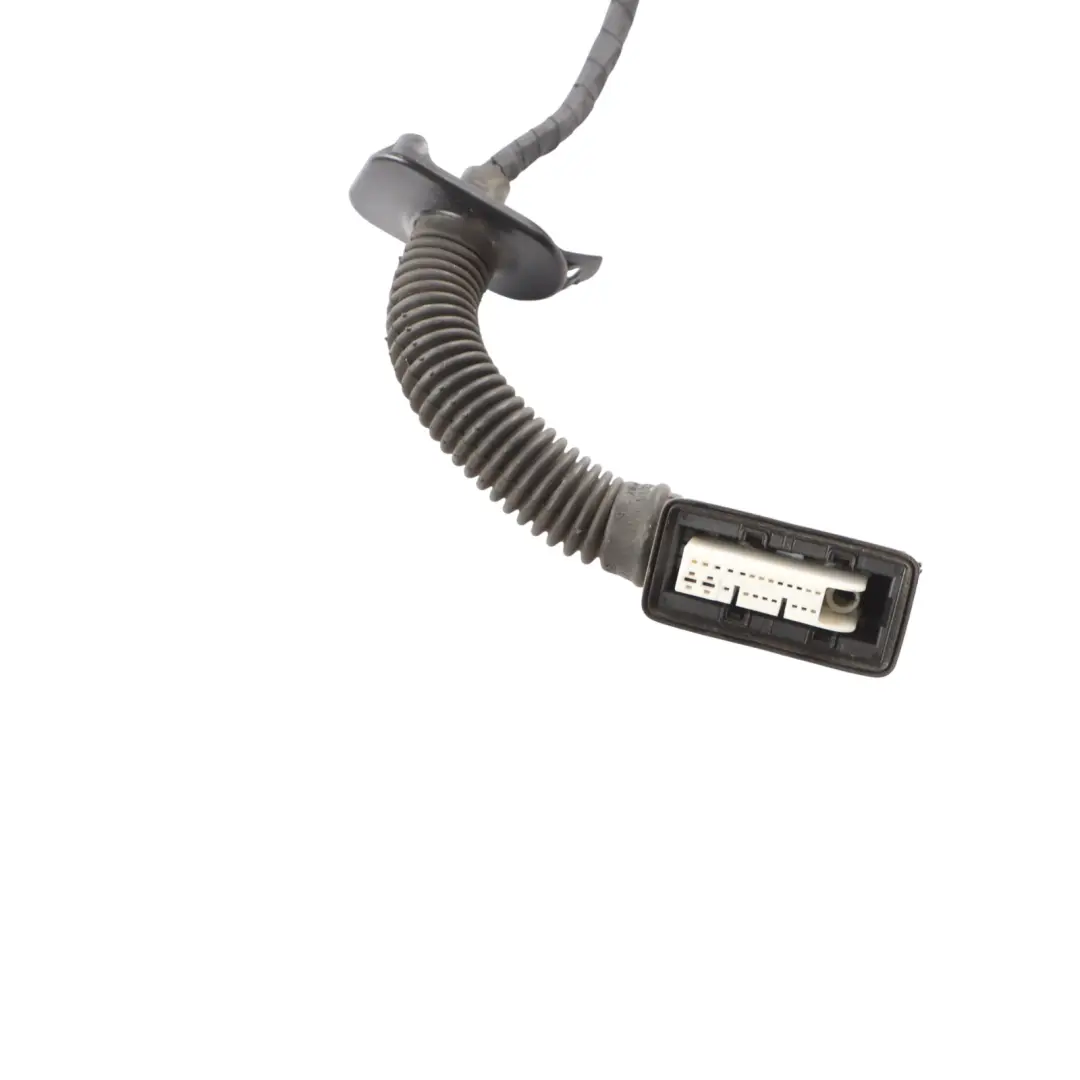 Audi A5 F5 Kabelbaum Für Vordertür Beifahrerseite - SKU 8W6971030BF - Teilenummer 8W6971030BF