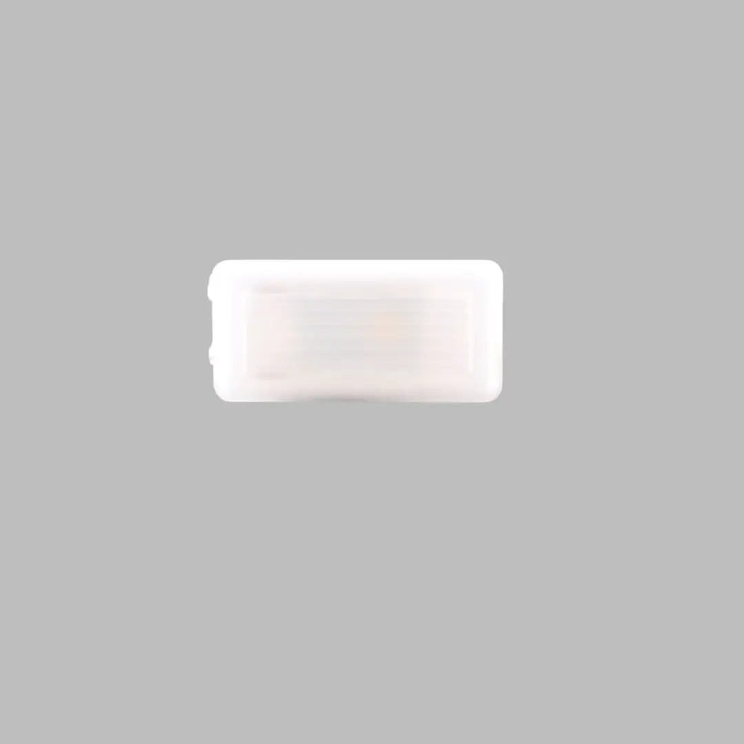  Courtesy Light BMW G20 G21 G29 Z4 Interior Footwell LED Lamp - SKU 9891435 - Part number 9891435
