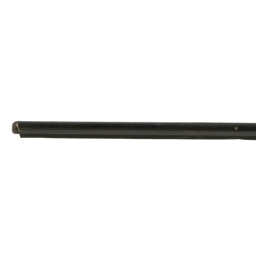 Mercedes W164 Window Strip Seal Door Front Left N/S Trim Moulding - SKU A1646907380 - Part number A1646907380