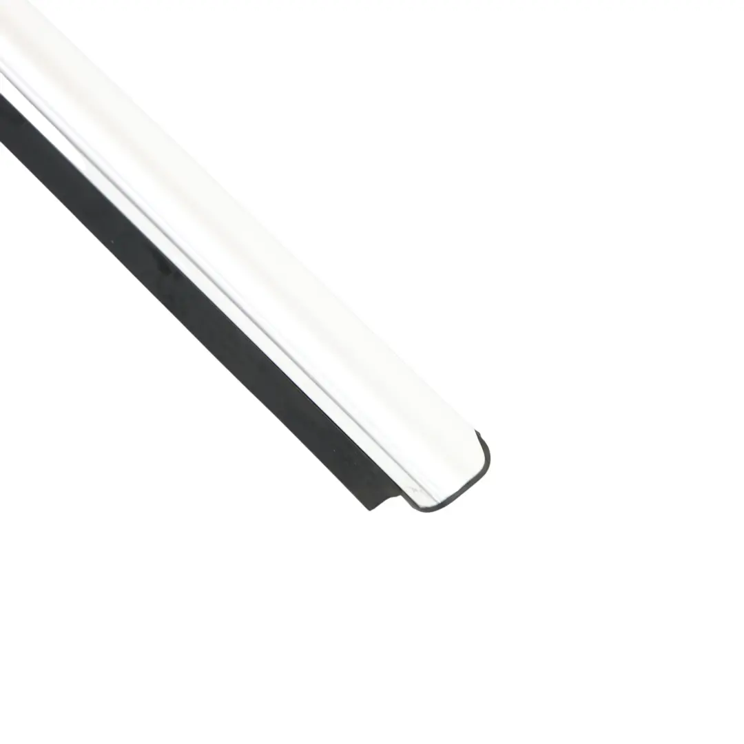 Mercedes W164 Window Strip Seal Door Front Left N/S Trim Moulding - SKU A1646907380 - Part number A1646907380