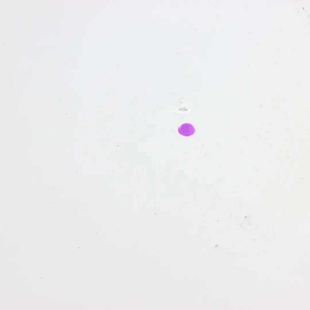 Hood Bonnet Trim Panel Engine Cover Calcite - 650 White to Mercedes W204 with Part number A2048800957 Mercedes W204 Hood Bonnet Trim Panel Engine Cover Calcite - 650 White - SKU A2048800957-CW - Part number A2048800957