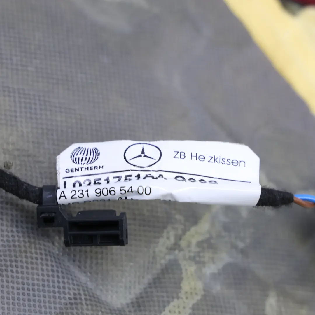 Mercedes R231 Housse Siège Avant Chauffante Droite Cuir Véritable - SKU A2319108000 - Numéro de pièce A2319108000