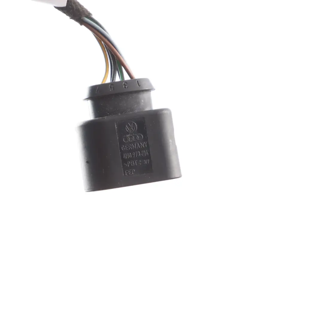 Audi A6 C7 Hintere Innere Lampe Rechts Kabelbaum Kabel Kabelbaum - SKU 4G5945094E-2 - Teilenummer 4G5945094E