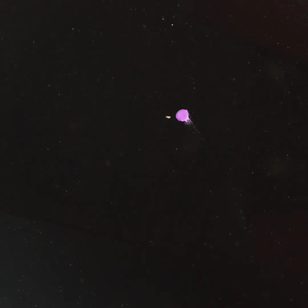 Side Panel Volkswagen VW Golf Mk6 Front Right Wing O/S Blue Graphite Pearl - C5F to with Part number 5K6821022A Side Panel Volkswagen VW Golf Mk6 Front Right Wing O/S Blue Graphite Pearl - C5F - SKU 5K6821022A-BGR - Part number 5K6821022A