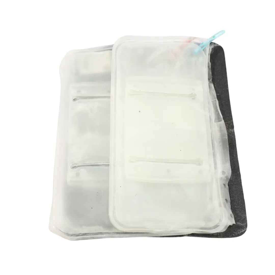  Lumbar Pad Support BMW E81 E87 E90 E91 E92 Front Seat Lordosis Pump Control Unit - SKU 7138786-3 - Part number 7138786