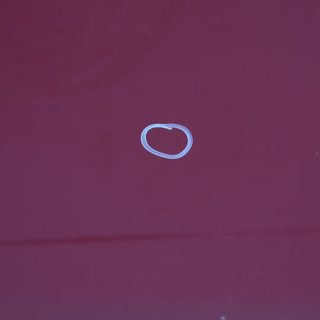 arrière droite Karmesinrot Crimson Red - A61 pour BMW F20 Porte à propos du numéro de pièce 7284516 BMW F20 Porte arrière droite Karmesinrot Crimson Red - A61 - SKU 7284516-KAR2 - Numéro de pièce 7284516