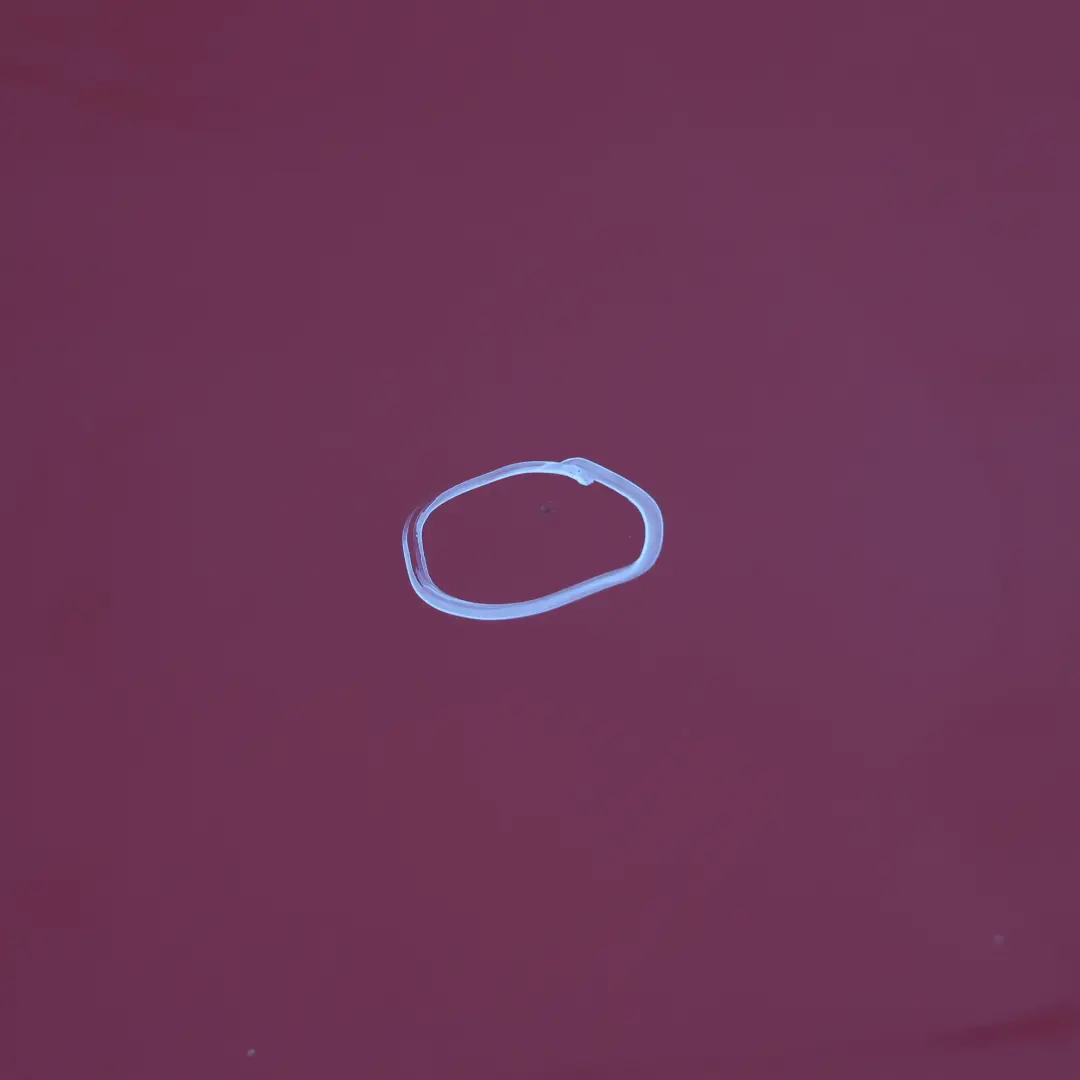 Tür Hinten Rechts Karmesinrot Rot - A61 für BMW F20 mit Teilenummer 7284516 BMW F20 Tür Hinten Rechts Karmesinrot Rot - A61 - SKU 7284516-KAR2 - Teilenummer 7284516