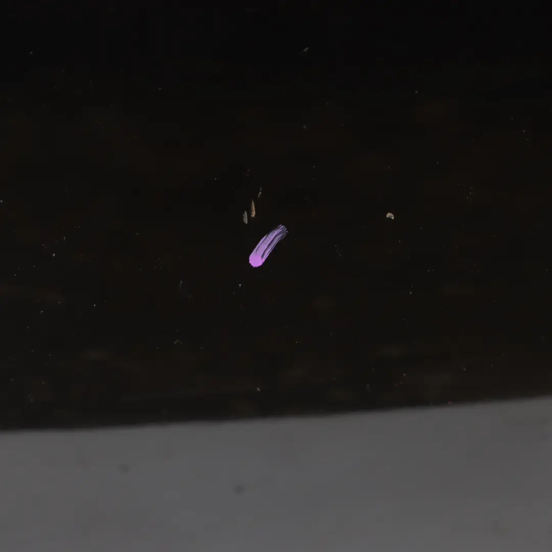 Hood Bonnet Cover Panel BMW F20 F21 F22 Schwarz 2 - 668 to with Part number 7290942 Hood Bonnet Cover Panel BMW F20 F21 F22 Schwarz 2 - 668 - SKU 7290942-SCH - Part number 7290942