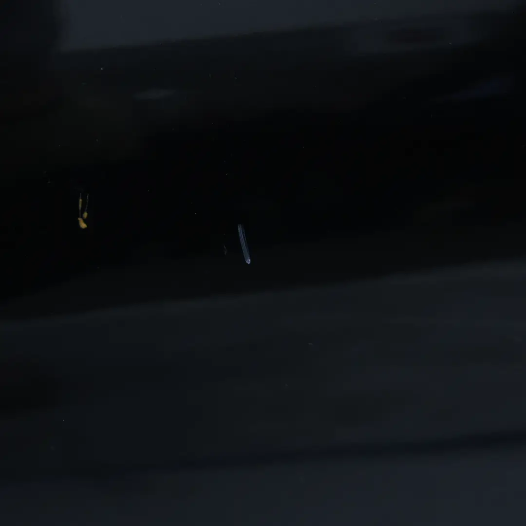 Arriere Droite Black Sapphire Noir - 475 pour BMW F30 Porte à propos du numéro de pièce 7298514 BMW F30 Porte Arriere Droite Black Sapphire Noir - 475 - SKU 7298514-BS - Numéro de pièce 7298514