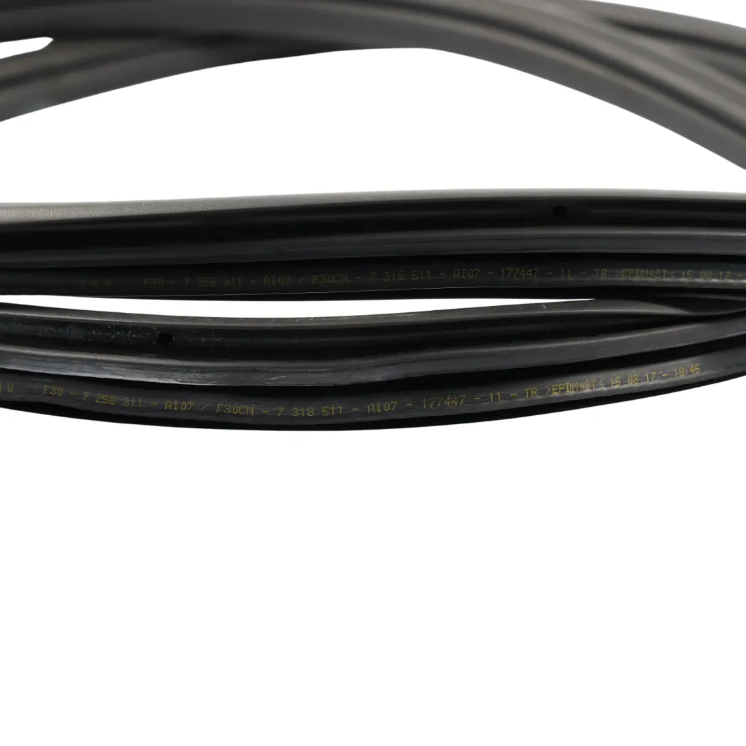 BMW F30 Rear Door Edge Protection Seal Gasket Rubber Left Right N/O/S - SKU 7303967 - Part number 7303967