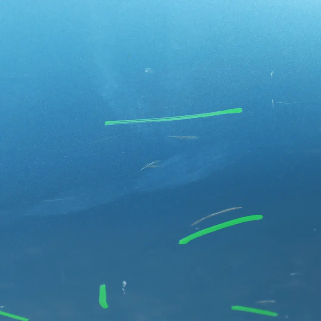 Door Rear Right O/S Covering Panel Electric Blue II Metallic - B86 to Mini F55 with Part number 7327450 Mini F55 Door Rear Right O/S Covering Panel Electric Blue II Metallic - B86 - SKU 7327450-ELB - Part number 7327450