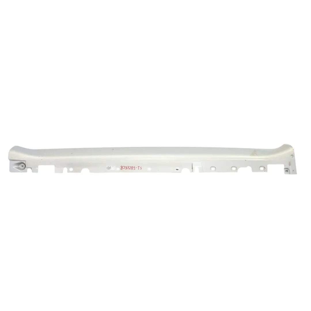 Listello Sottoporta Laterale Sinistro Titansilber - 354 per BMW X5 E70 M Sport con numero di parte 8037289 BMW X5 E70 M Sport Listello Sottoporta Laterale Sinistro Titansilber - 354 - SKU 8037289-TS - Numero di parte 8037289
