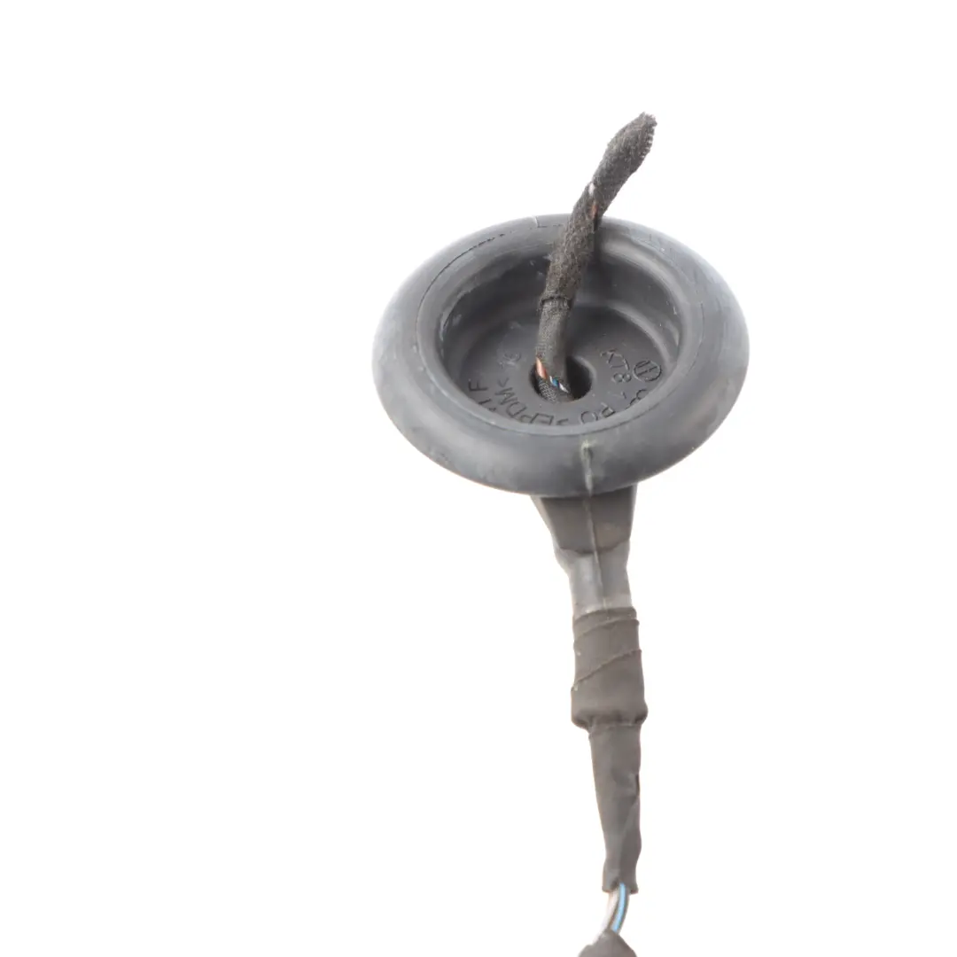 Tail Light Wiring Harness Cable Rear Left N/S to Audi A5 8T Rear with Part number 8T8945095E Audi A5 8T Rear Tail Light Wiring Harness Cable Rear Left N/S - SKU 8T8945095E-2 - Part number 8T8945095E