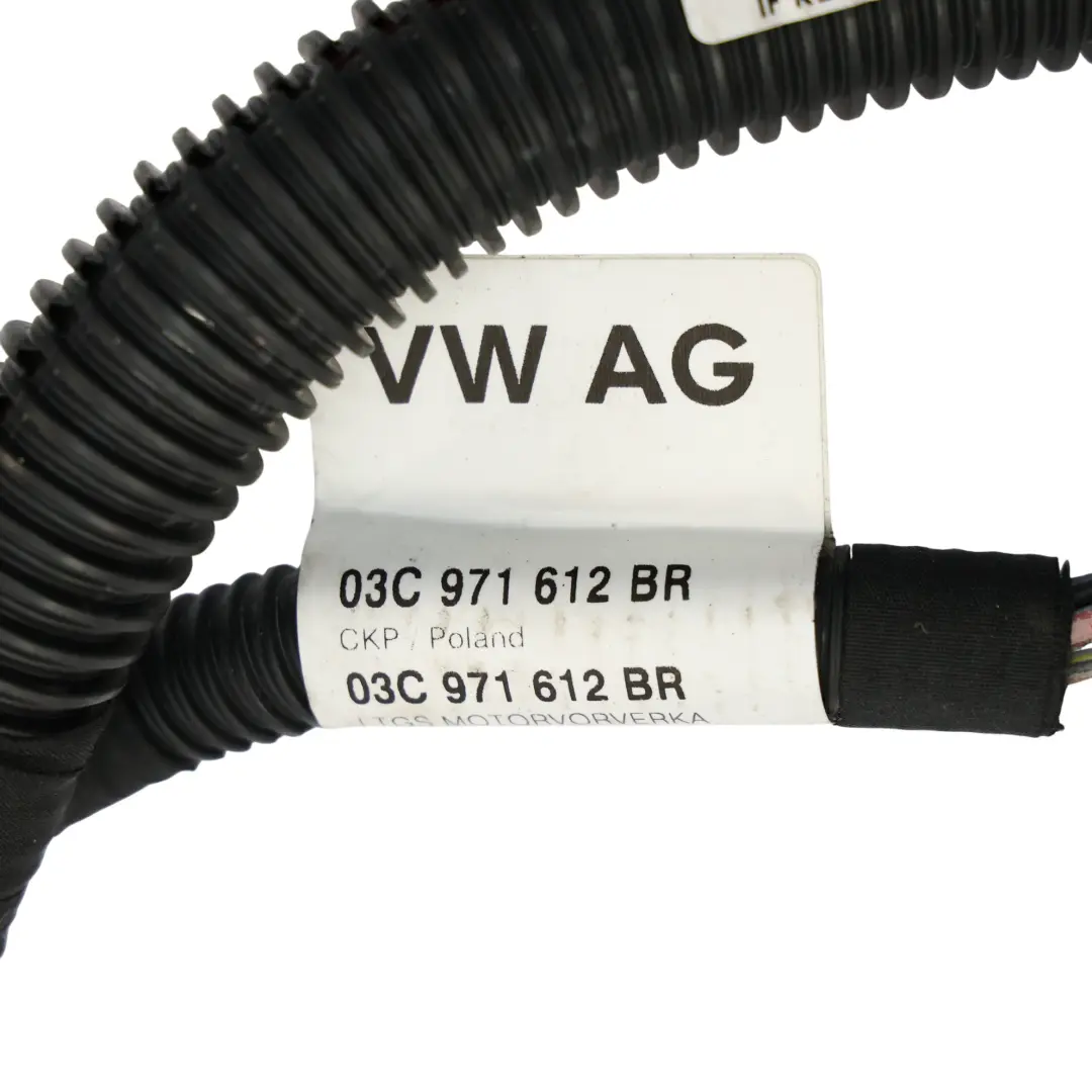 Arnés De Cableado Del Motor para Audi A1 8X 1.4 TSI con número de pieza 03C971612BR Audi A1 8X 1.4 TSI Arnés De Cableado Del Motor - SKU 03C971612BR - Número de pieza 03C971612BR