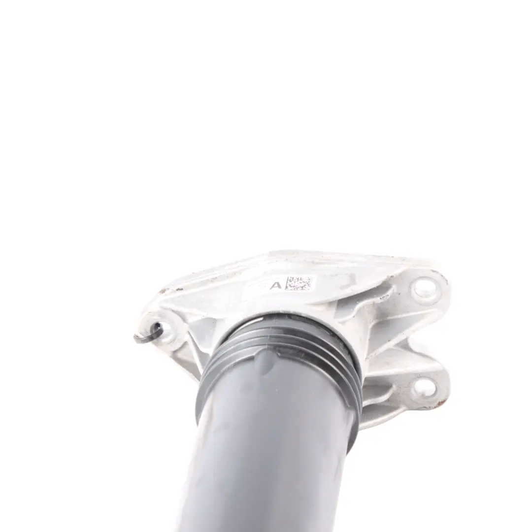 F74 F78 U06 Rear Left Right N/O/S Shock Absorber Damper 6889456 BMW F70 - SKU 5A3E6B4 - Part number 5A3E6B4