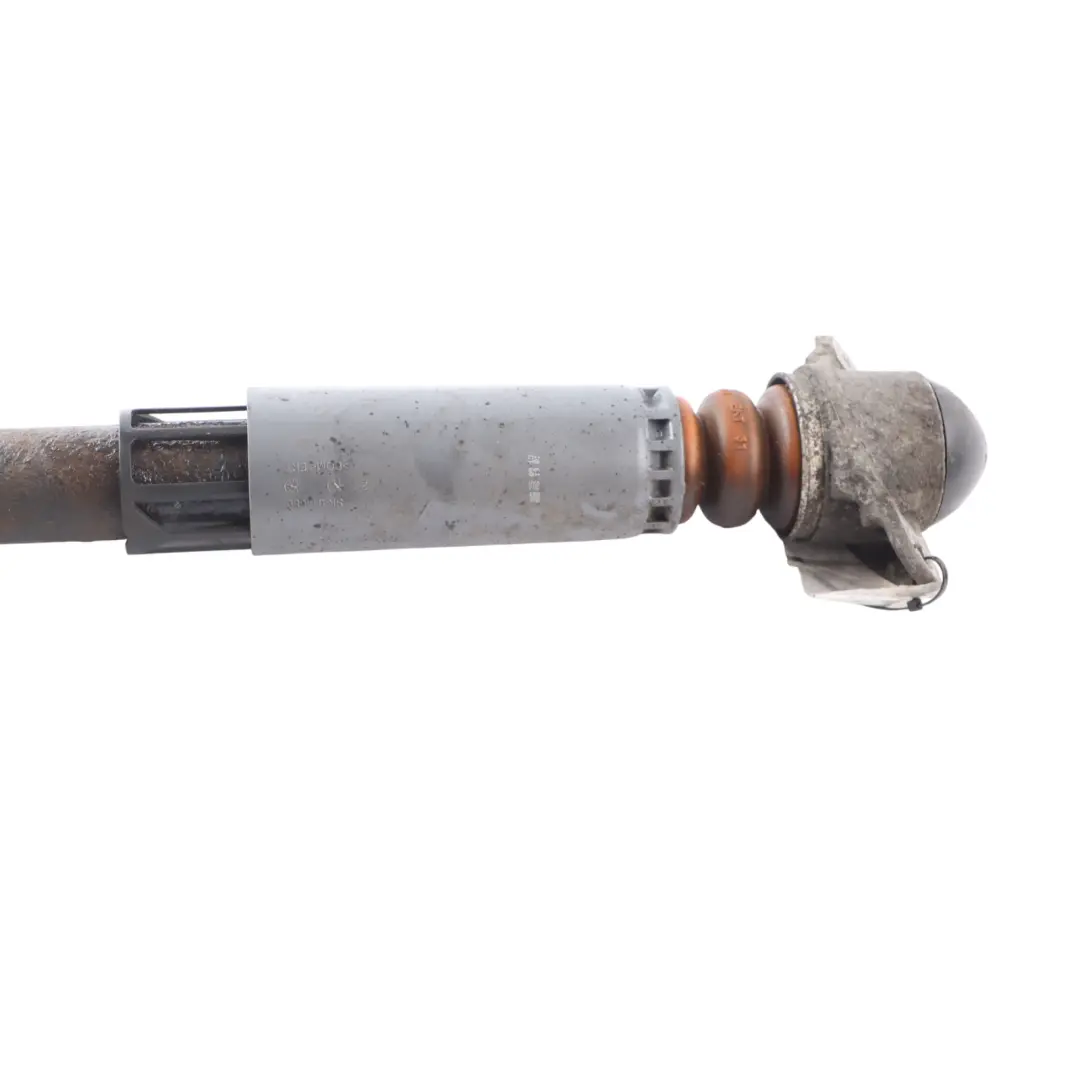 Shock Strut Audi A3 S3 8V Rear Left Right N/O/S Damper Absorber to with Part number 5Q0513029FH Shock Strut Audi A3 S3 8V Rear Left Right N/O/S Damper Absorber - SKU 5Q0513029FH - Part number 5Q0513029FH