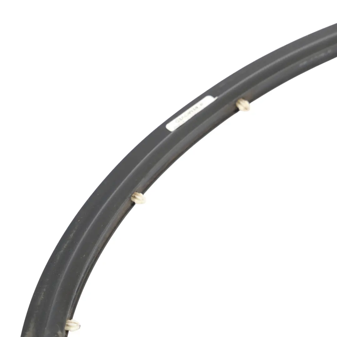 BMW F02 Striscia Di Tenuta Porta Posteriore Inferiore Sinistra Destra - SKU 7179125 - Numero di parte 7179125