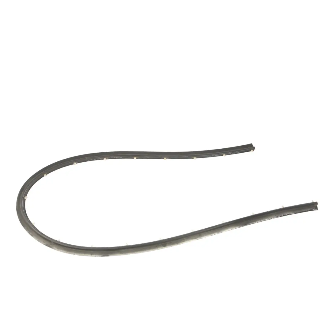 Door Sealing Strip Bottom Gap Lower Left Right N/O/S to BMW F02 Rear with Part number 7179125 BMW F02 Rear Door Sealing Strip Bottom Gap Lower Left Right N/O/S - SKU 7179125 - Part number 7179125