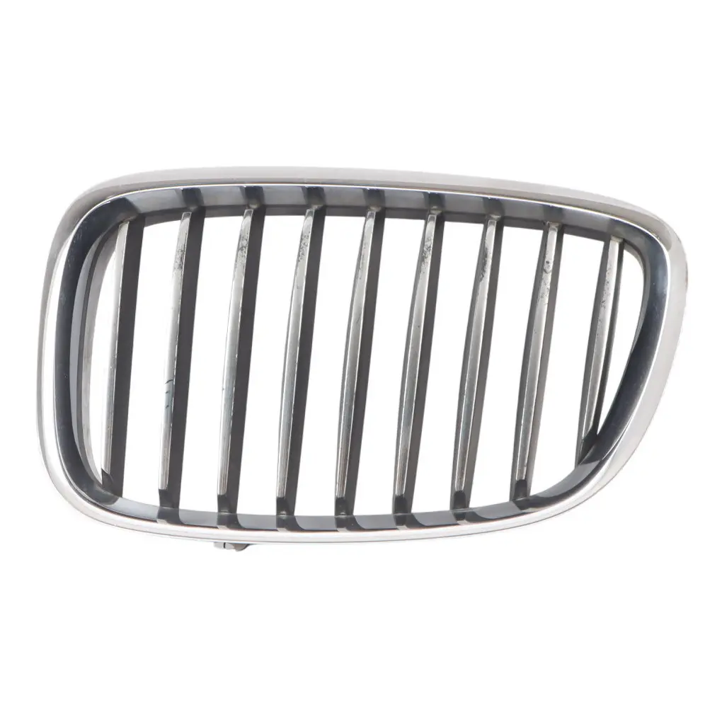 BMW F07 GT Front Bumper Grille Hood Left N/S 7200167