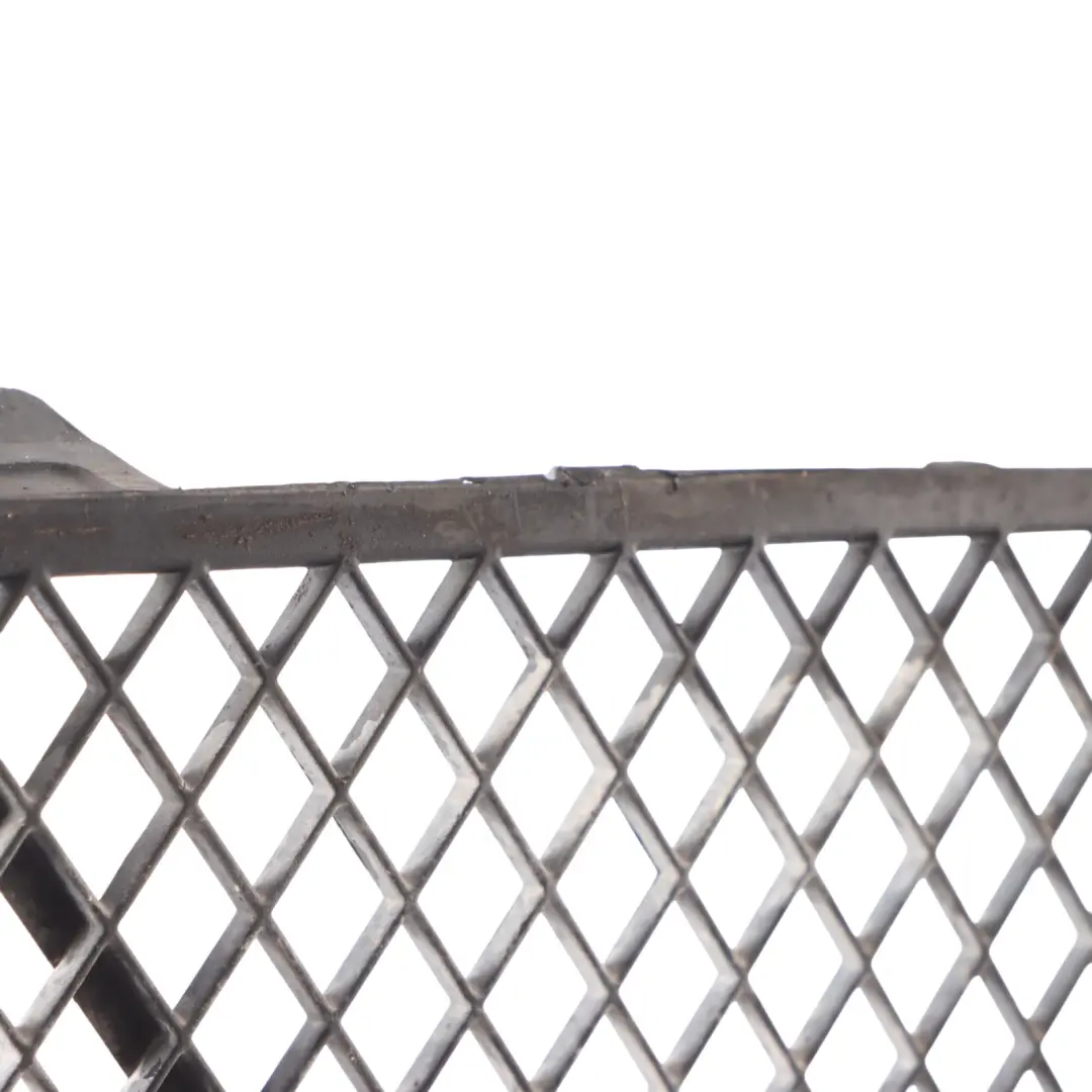 Front Centre Bumper Lower Grill Grille to BMW F07 with Part number 7200729 BMW F07 Front Centre Bumper Lower Grill Grille - SKU 7200729 - Part number 7200729