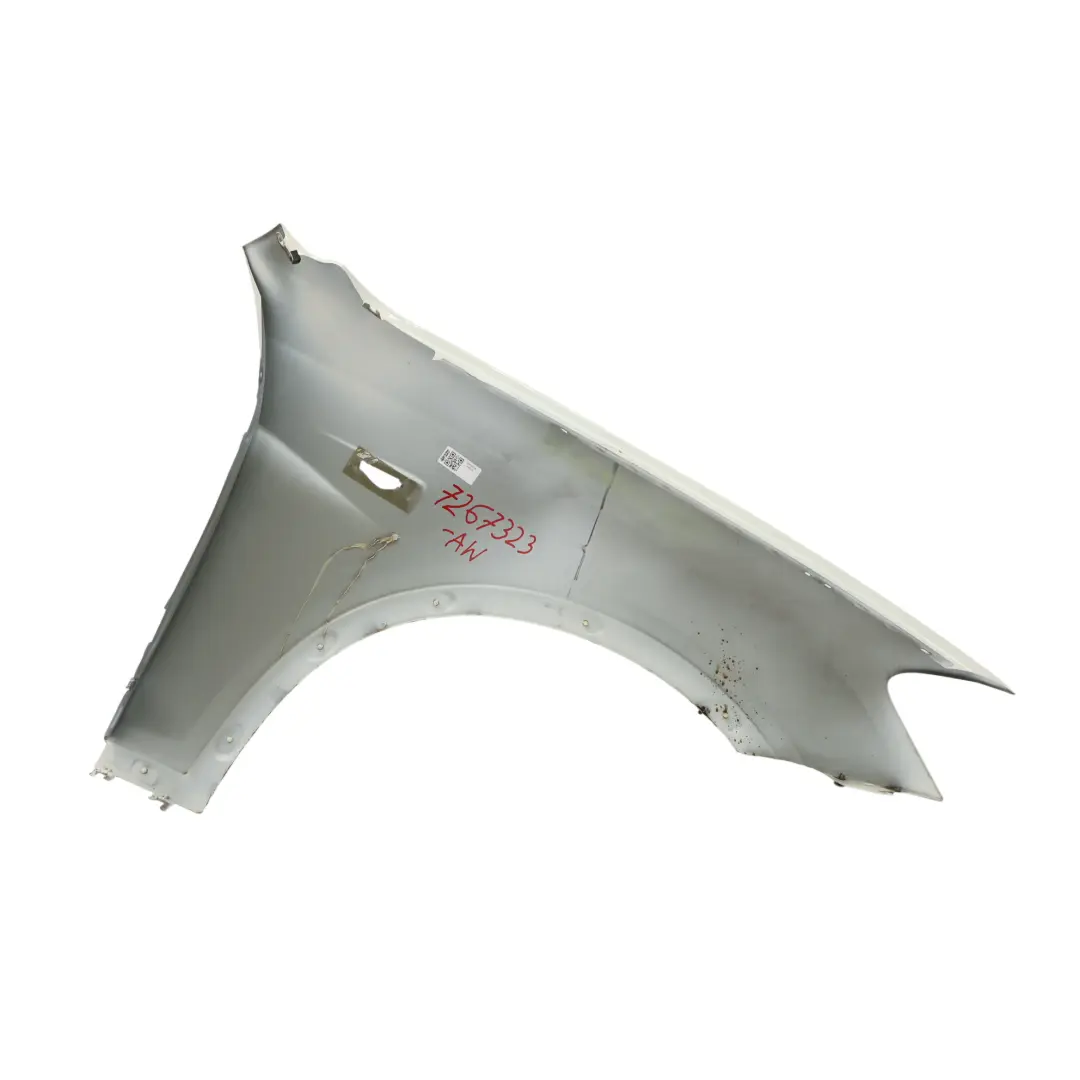 Pannello Laterale Parafango Anteriore Sinistro Alpinweiss 3 - 300 per BMW X3 F25 con numero di parte 7267323 BMW X3 F25 Pannello Laterale Parafango Anteriore Sinistro Alpinweiss 3 - 300 - SKU 7267323-AW - Numero di parte 7267323