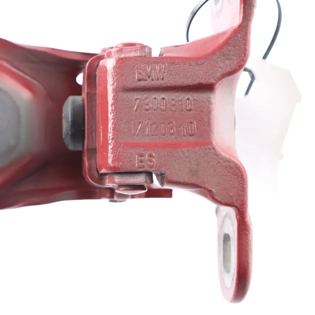 Trunk Lid Hinge BMW F45 Boot Rear Right O/S Flamenco Red Brilliant Effect - C06 to with Part number 7300810 Trunk Lid Hinge BMW F45 Boot Rear Right O/S Flamenco Red Brilliant Effect - C06 - SKU 7300810-FLR - Part number 7300810