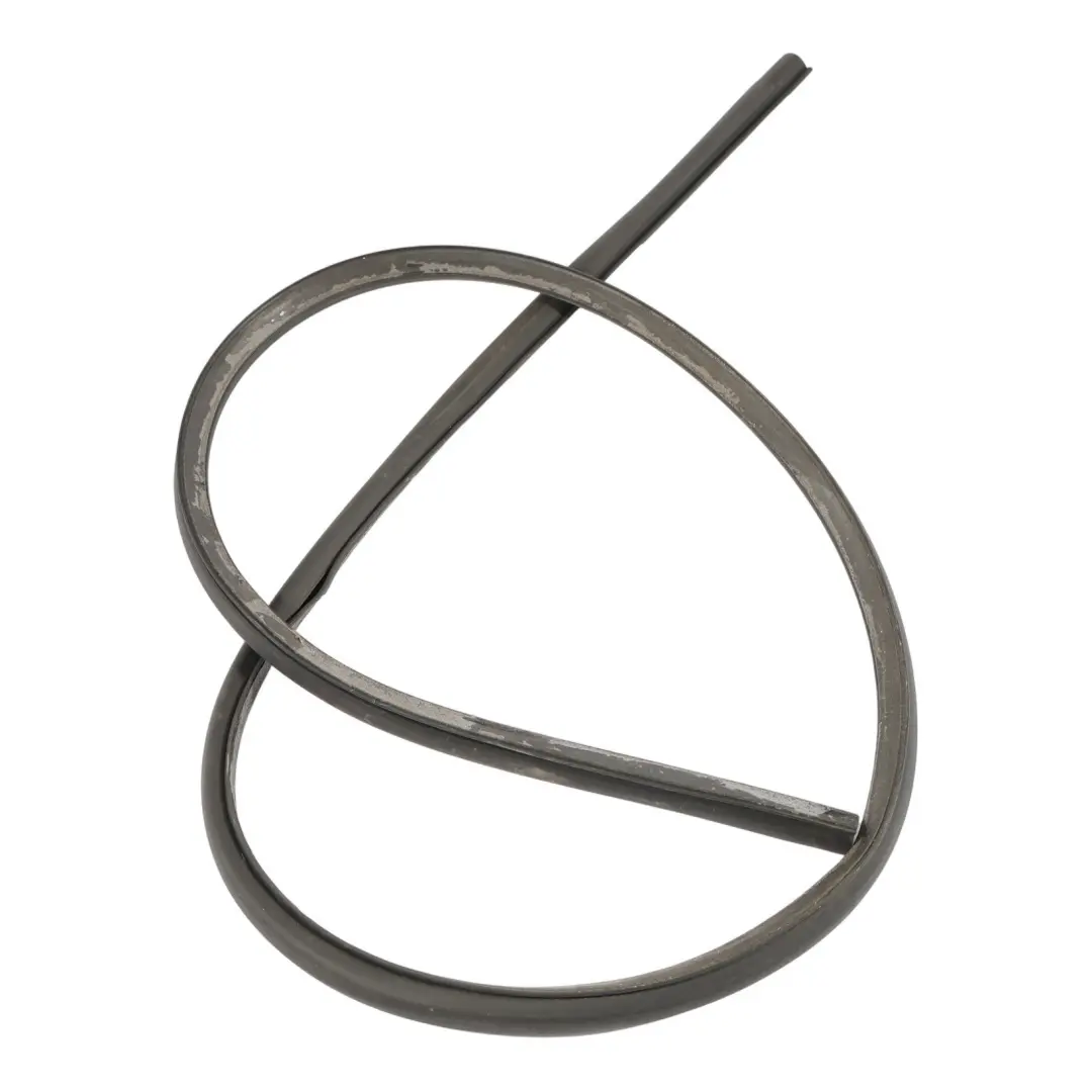 Joint De Porte Avant En Caoutchouc pour BMW F36 à propos du numéro de pièce 7310234 BMW F36 Joint De Porte Avant En Caoutchouc - SKU 7310234 - Numéro de pièce 7310234