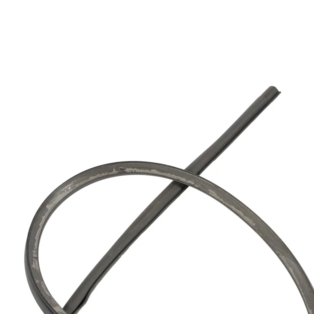 Joint De Porte Avant En Caoutchouc pour BMW F36 à propos du numéro de pièce 7310234 BMW F36 Joint De Porte Avant En Caoutchouc - SKU 7310234 - Numéro de pièce 7310234