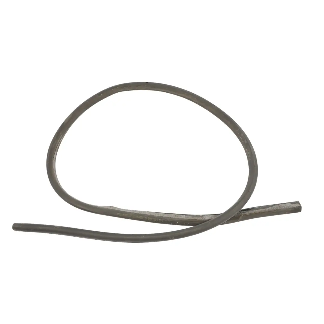 BMW F36 Front Door Joint Rubber Seal - SKU 7310234 - Part number 7310234