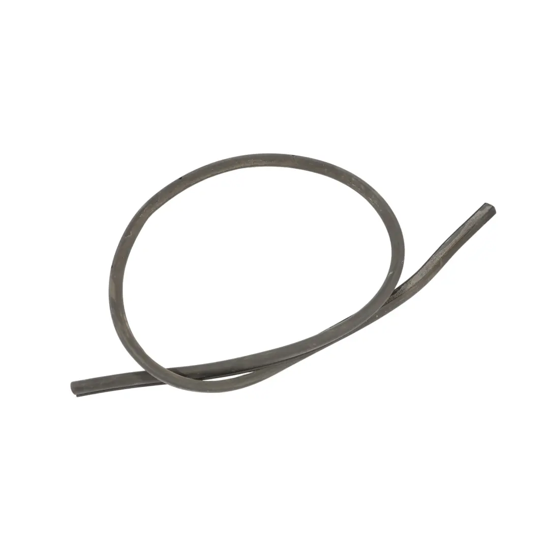 Junta De Goma Para Junta De Puerta Delantera para BMW F36 con número de pieza 7310234 BMW F36 Junta De Goma Para Junta De Puerta Delantera - SKU 7310234 - Número de pieza 7310234