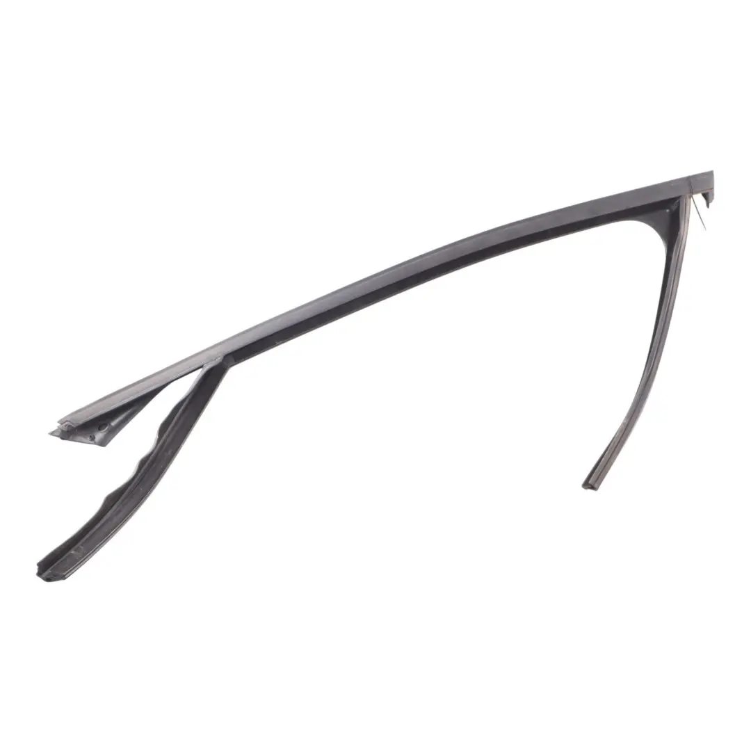 BMW X1 F48 Guarnizione Guida Vetro Interna Porta Anteriore Sinistra - SKU 7349635 - Numero di parte 7349635