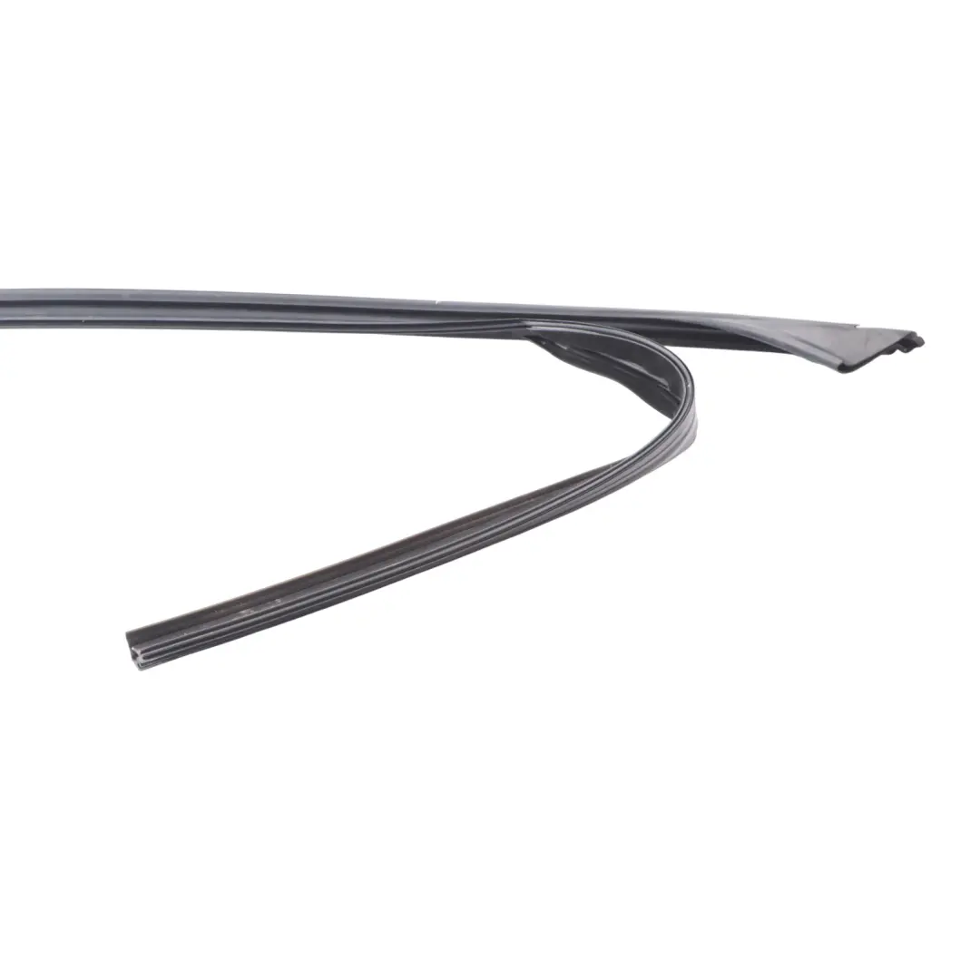 BMW X1 F48 Front Inner Window Guide Seal Door Left N/S - SKU 7349635 - Part number 7349635