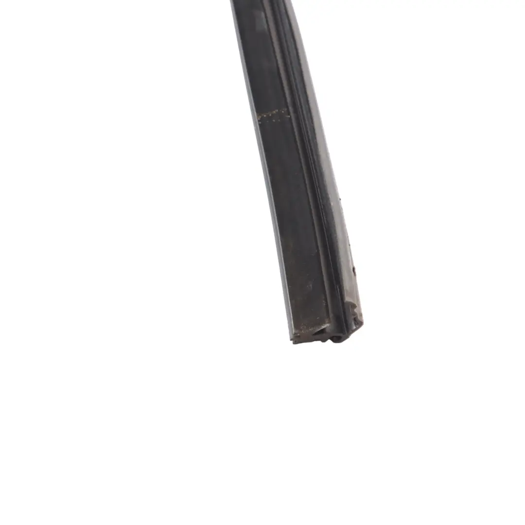 Guarnizione Guida Finestrino Interno Porta Anteriore Destra per BMW X1 F48 con numero di parte 7349636 BMW X1 F48 Guarnizione Guida Finestrino Interno Porta Anteriore Destra - SKU 7349636 - Numero di parte 7349636