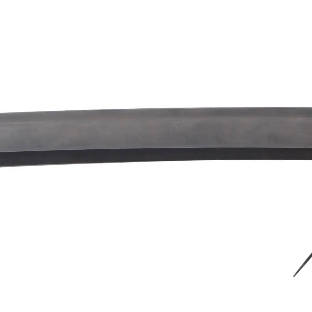 BMW X1 F48 Inner Window Guide Seal Front Door Right O/S - SKU 7349636 - Part number 7349636