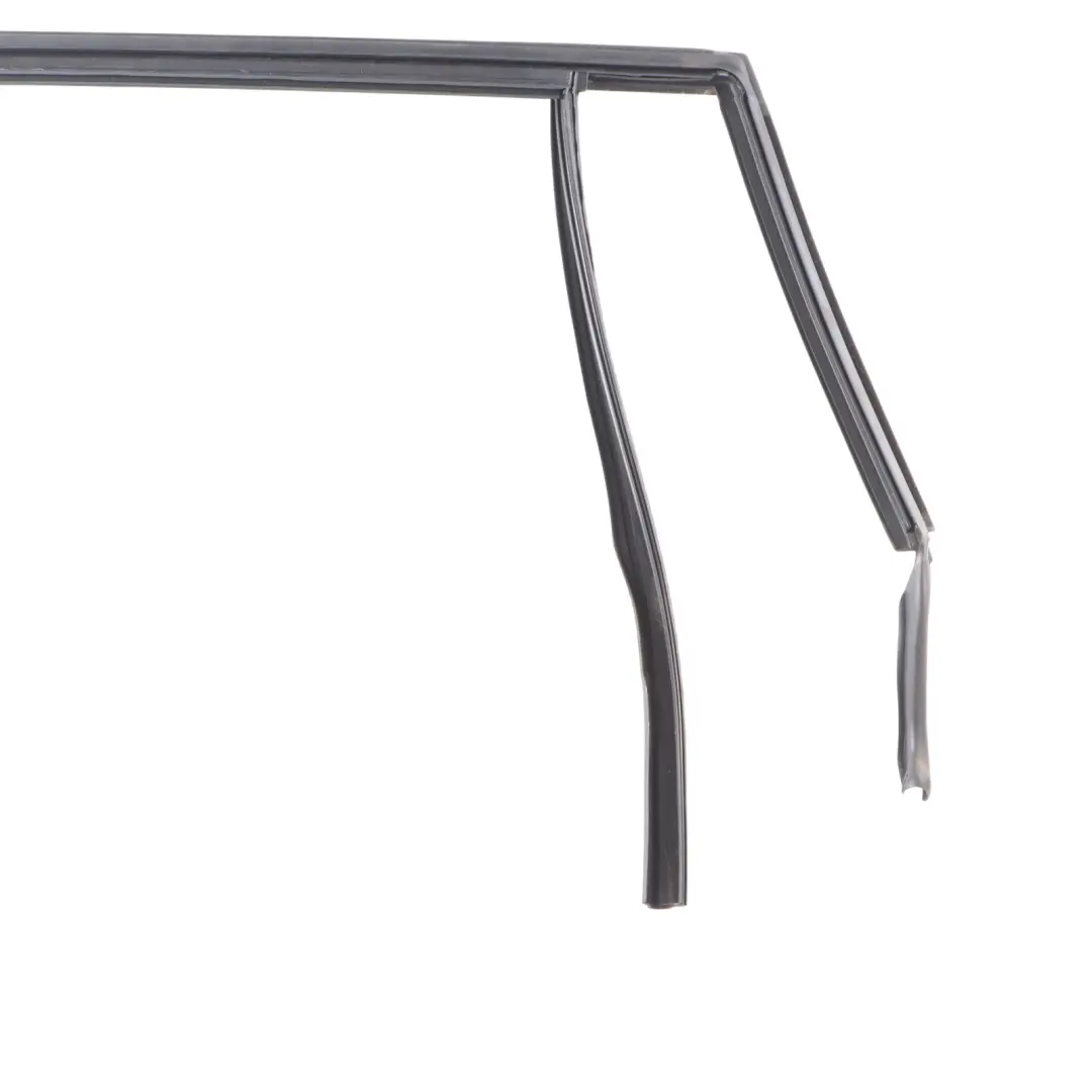 BMW X1 F48 Tür Fenster Führungs Dichtung Hinten Rechts - SKU 7349654 - Teilenummer 7349654