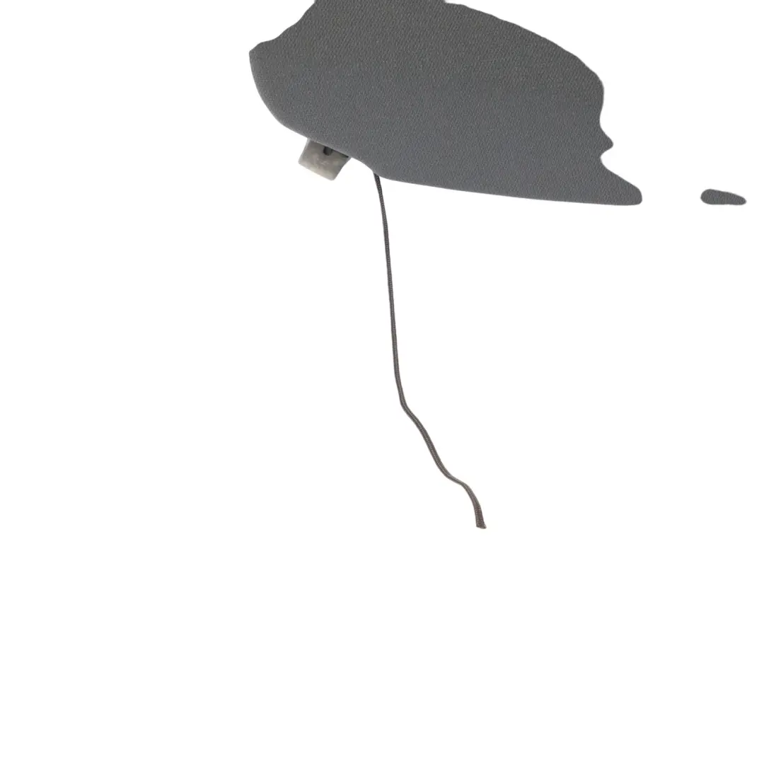 Cache De Plage Arrière Noir pour BMW F45 à propos du numéro de pièce 7395175 BMW F45 Cache De Plage Arrière Noir - SKU 7395175 - Numéro de pièce 7395175