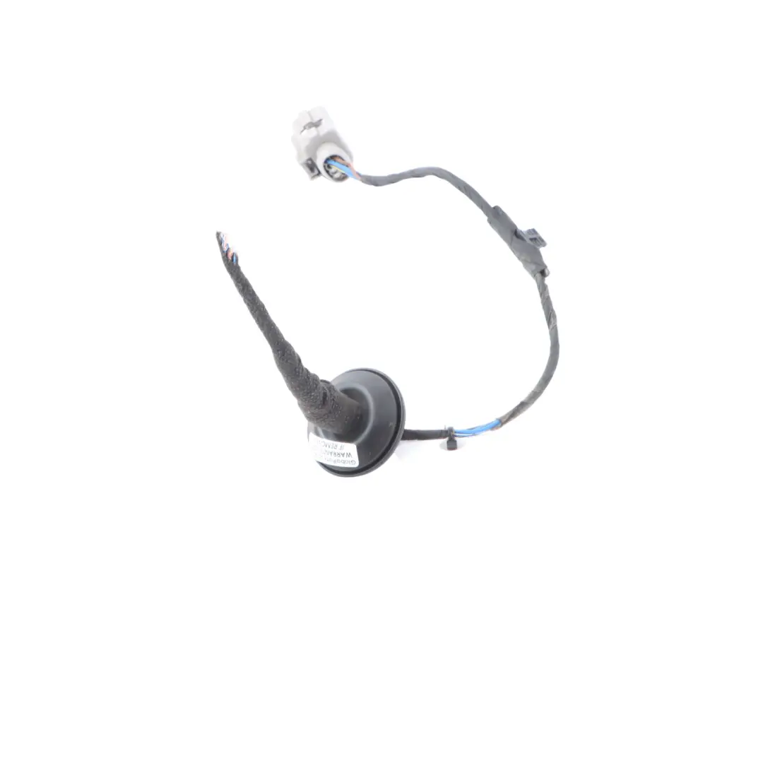 Lamp Light Left N/S Wiring Loom Harness Cable to Audi Q2 GA Rear with Part number 81A945091C Audi Q2 GA Rear Lamp Light Left N/S Wiring Loom Harness Cable - SKU 81A945091C-2 - Part number 81A945091C