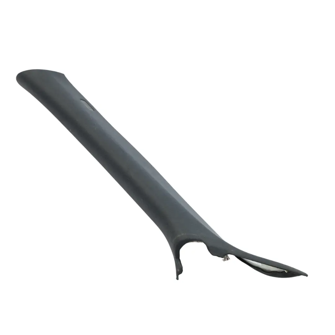 Columna Central Inferior Pilar Embellecedor Panel Izquierdo para BMW X5 E53 con número de pieza 8203865 BMW X5 E53 Columna Central Inferior Pilar Embellecedor Panel Izquierdo - SKU 8203865 - Número de pieza 8203865