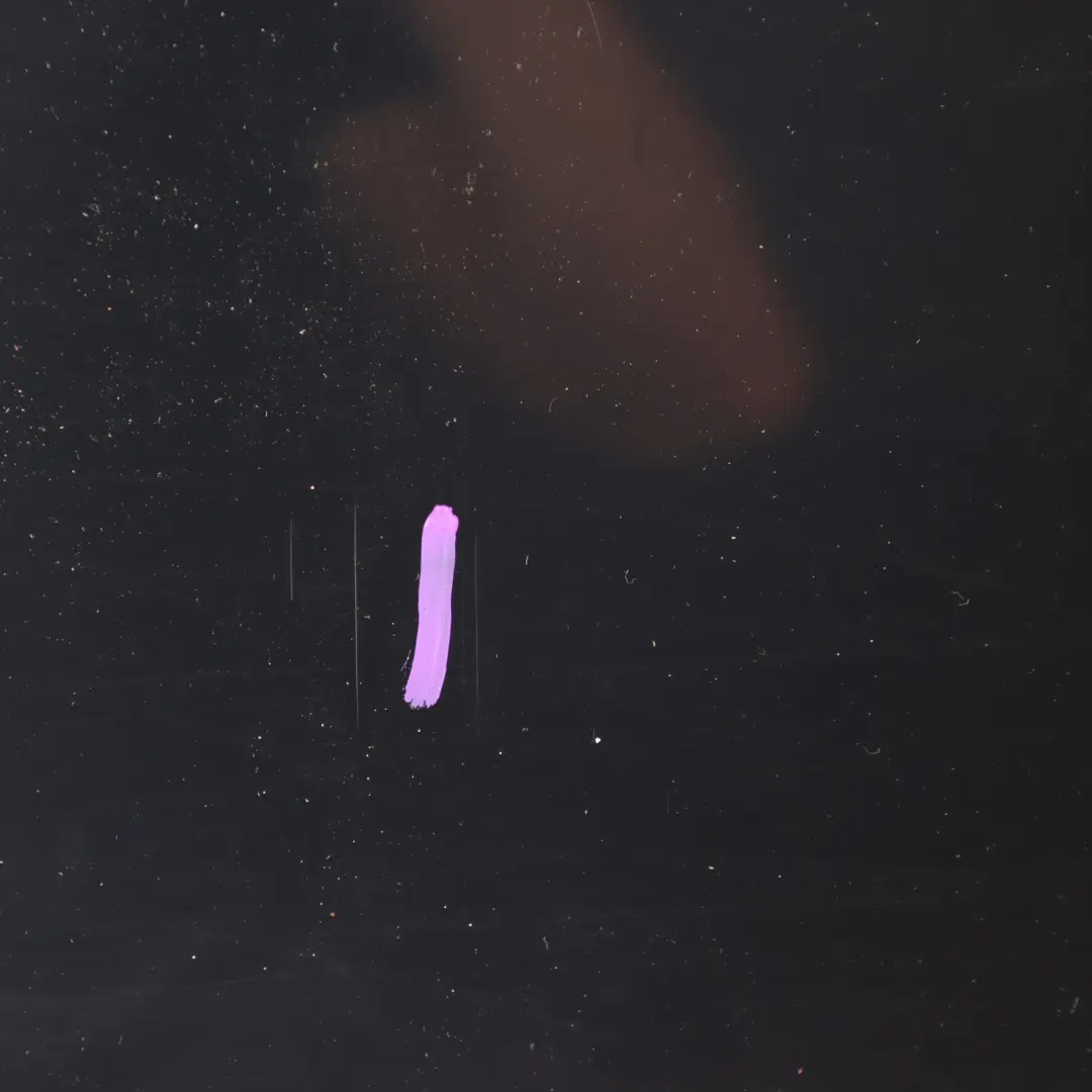 Arrière 3 Portes Hayon Coffre, Feu Stop Noir Fantôme - Z9Y pour Audi A3 8V Aileron à propos du numéro de pièce 8V3827933C Audi A3 8V Aileron Arrière 3 Portes Hayon Coffre, Feu Stop Noir Fantôme - Z9Y - SKU 8V3827933C-PHB - Numéro de pièce 8V3827933C